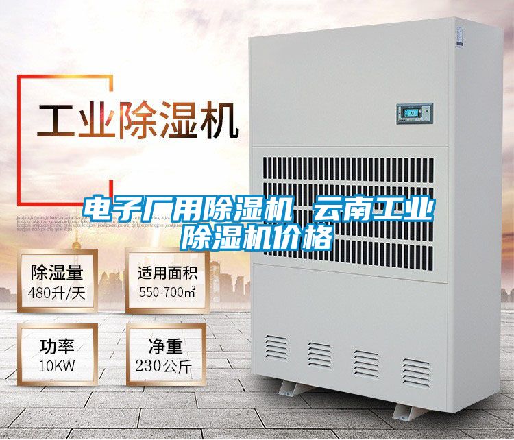 電子廠用除濕機 云南工業除濕機價格
