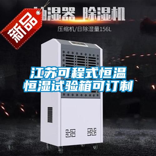 江蘇可程式恒溫恒濕試驗(yàn)箱可訂制