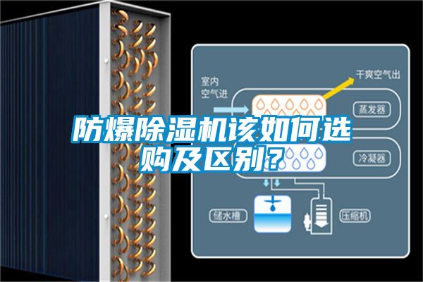 防爆除濕機(jī)該如何選購及區(qū)別？