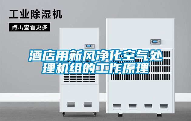 酒店用新風(fēng)凈化空氣處理機組的工作原理