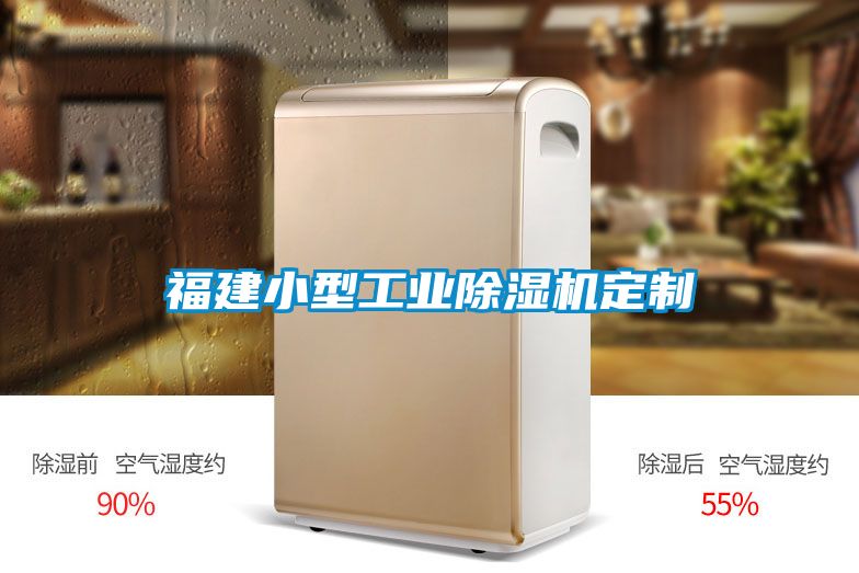 福建小型工業除濕機定制