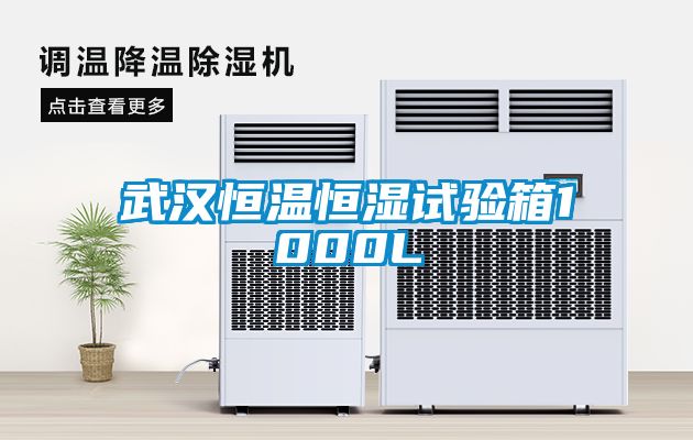 武漢恒溫恒濕試驗箱1000L