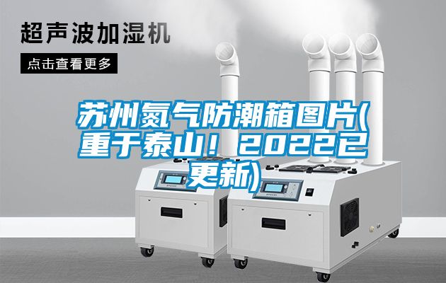 蘇州氮氣防潮箱圖片(重于泰山！2022已更新)