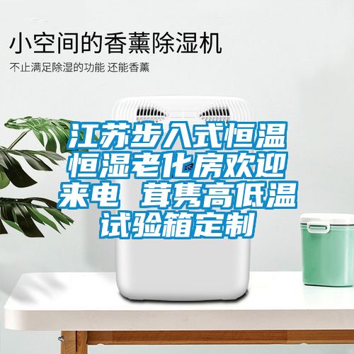 江蘇步入式恒溫恒濕老化房歡迎來電 茸雋高低溫試驗箱定制