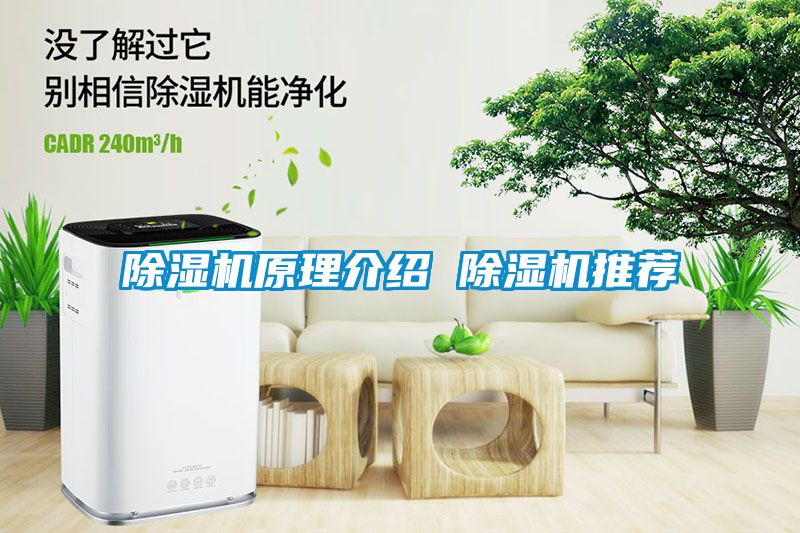 除濕機原理介紹 除濕機推薦