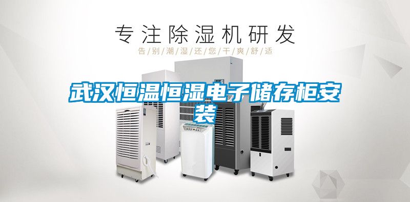 武漢恒溫恒濕電子儲(chǔ)存柜安裝