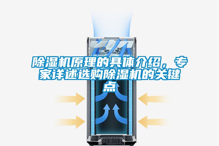 除濕機原理的具體介紹，專家詳述選購除濕機的關鍵點