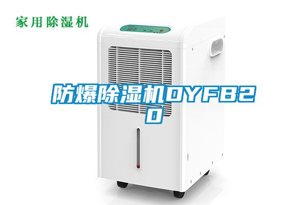 防爆除濕機DYFB20