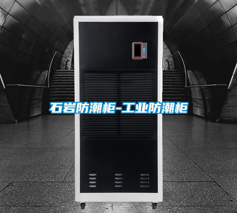 石巖防潮柜-工業(yè)防潮柜