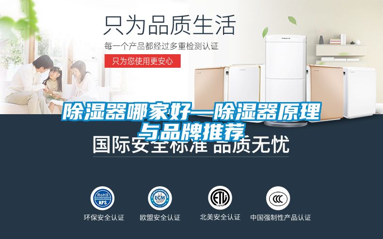 除濕器哪家好—除濕器原理與品牌推薦
