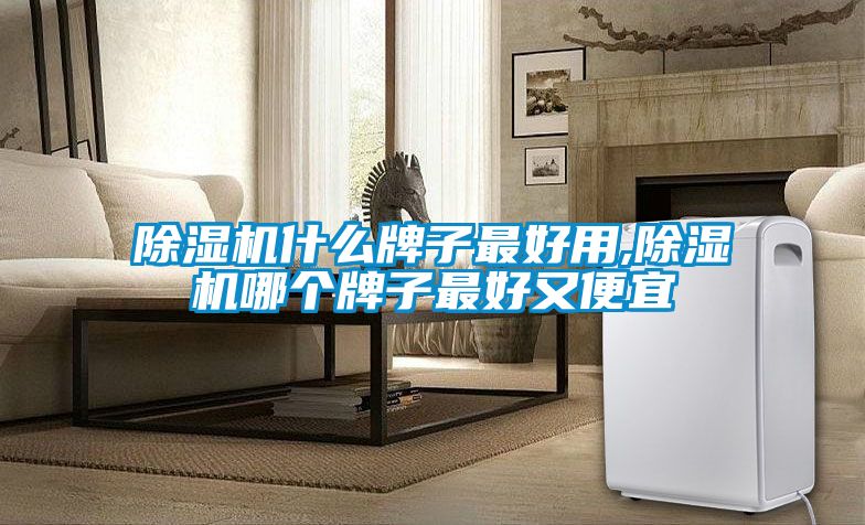 除濕機什么牌子最好用,除濕機哪個牌子最好又便宜