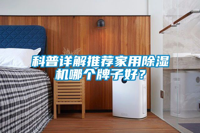科普詳解推薦家用除濕機哪個牌子好？