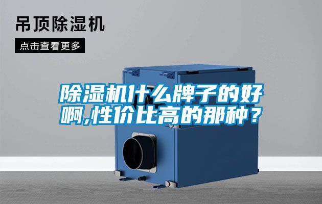 除濕機什么牌子的好啊,性價比高的那種？