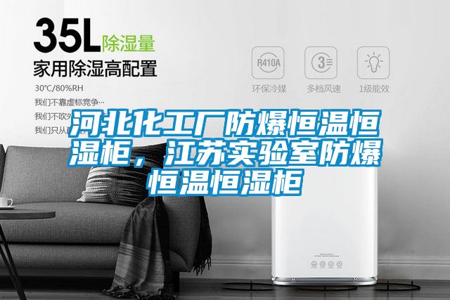 河北化工廠防爆恒溫恒濕柜，江蘇實驗室防爆恒溫恒濕柜