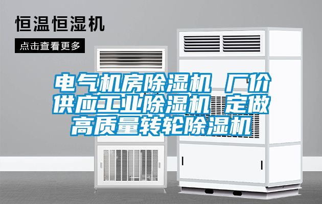 電氣機房除濕機 廠價供應工業除濕機 定做高質量轉輪除濕機