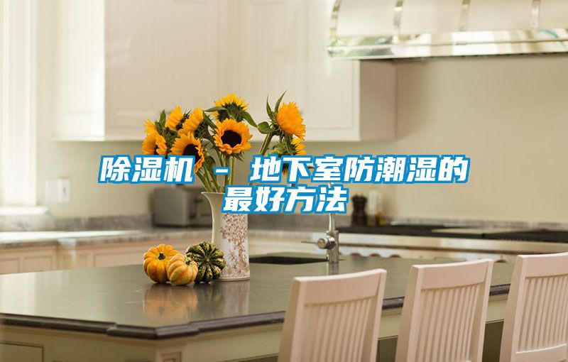 除濕機 - 地下室防潮濕的最好方法