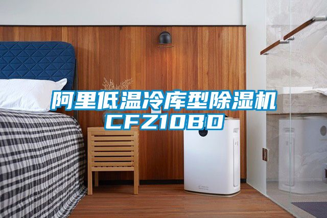 阿里低溫冷庫(kù)型除濕機(jī)CFZ10BD