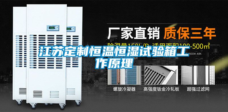 江蘇定制恒溫恒濕試驗(yàn)箱工作原理