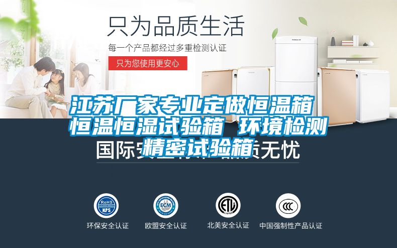 江蘇廠家專業定做恒溫箱 恒溫恒濕試驗箱 環境檢測精密試驗箱