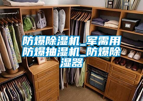 防爆除濕機_軍需用防爆抽濕機_防爆除濕器