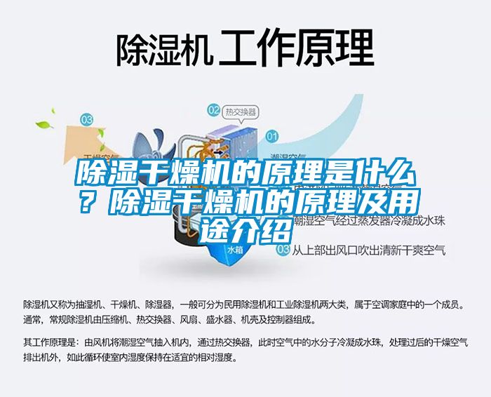 除濕干燥機的原理是什么？除濕干燥機的原理及用途介紹