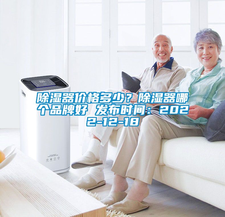 除濕器價格多少？除濕器哪個品牌好 發布時間：2022-12-18