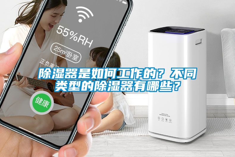 除濕器是如何工作的？不同類型的除濕器有哪些？