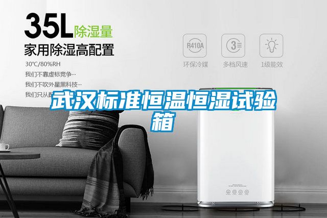 武漢標準恒溫恒濕試驗箱