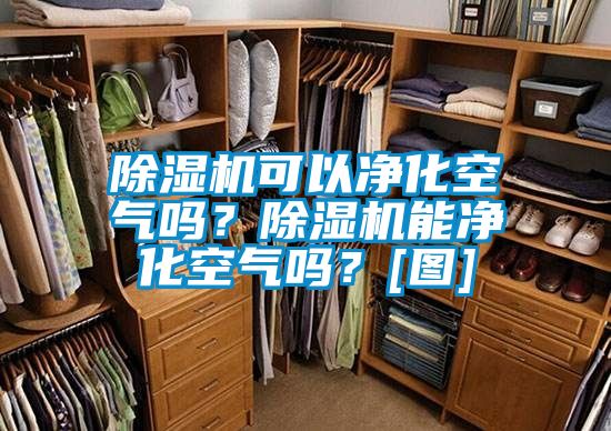 除濕機可以凈化空氣嗎？除濕機能凈化空氣嗎？[圖]