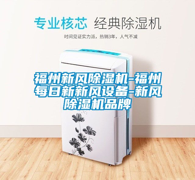 福州新風除濕機-福州每日新新風設備-新風除濕機品牌