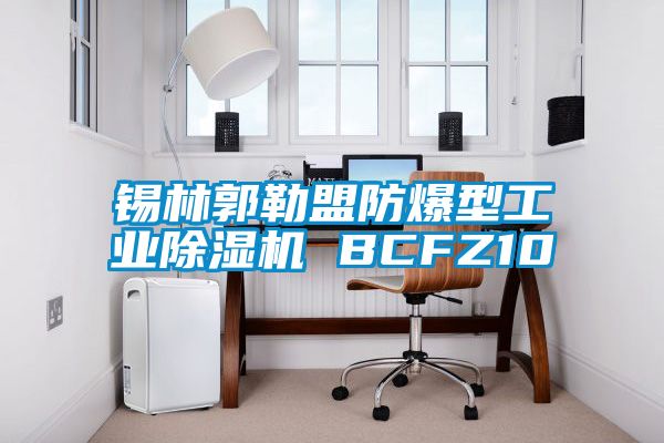 錫林郭勒盟防爆型工業除濕機 BCFZ10