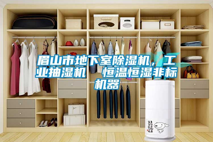 眉山市地下室除濕機，工業抽濕機  恒溫恒濕非標機器