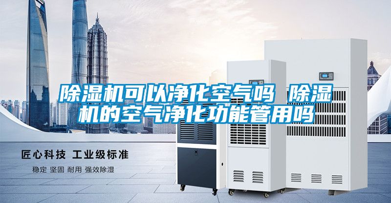除濕機可以凈化空氣嗎 除濕機的空氣凈化功能管用嗎