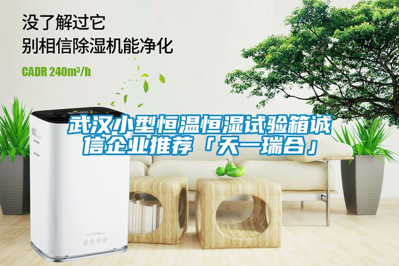 武漢小型恒溫恒濕試驗箱誠信企業推薦「天一瑞合」