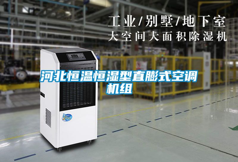河北恒溫恒濕型直膨式空調(diào)機(jī)組