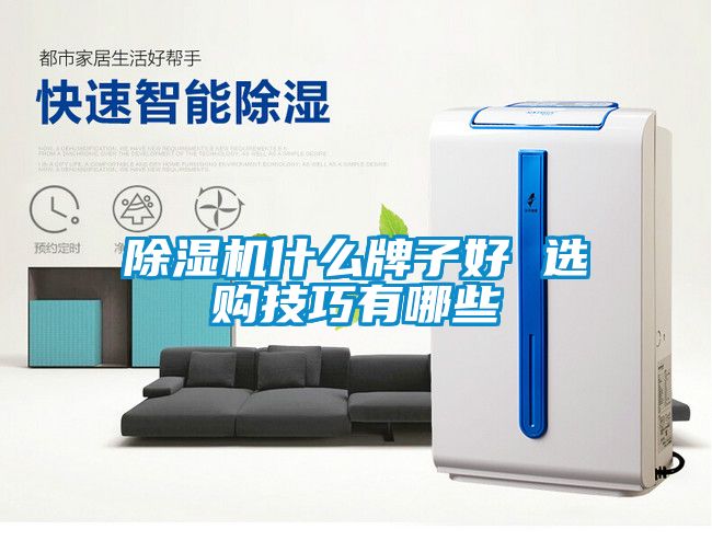 除濕機什么牌子好 選購技巧有哪些