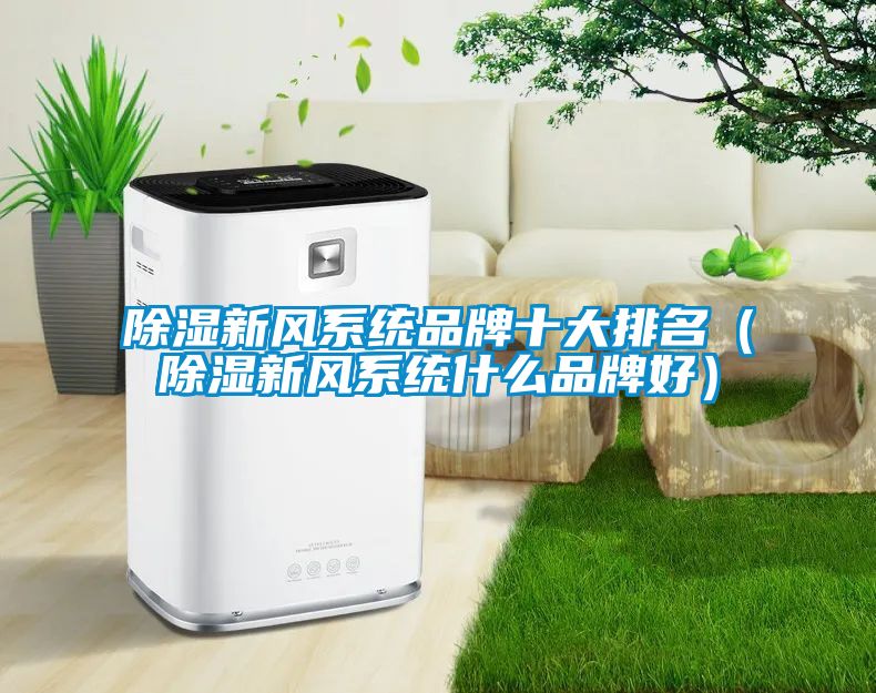 除濕新風系統品牌十大排名（除濕新風系統什么品牌好）