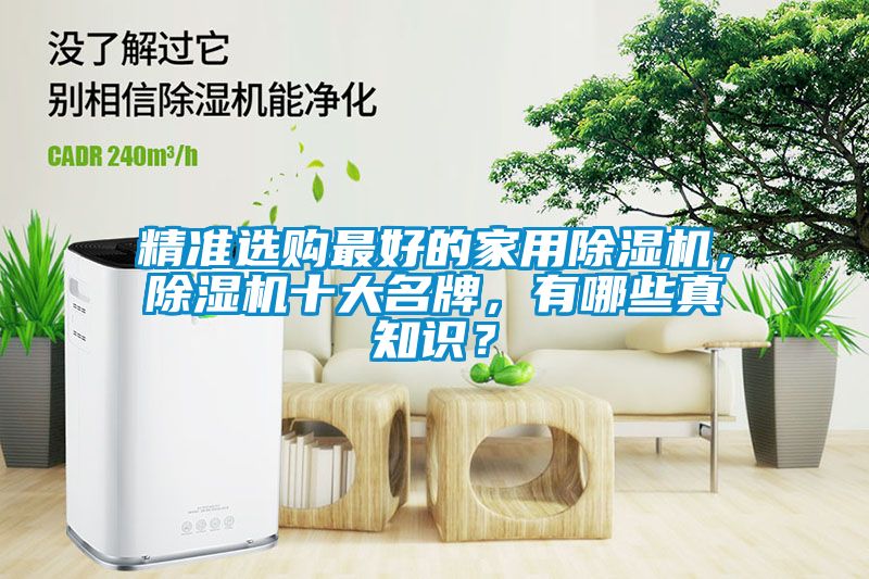 精準選購最好的家用除濕機，除濕機十大名牌，有哪些真知識？