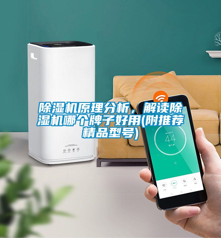 除濕機原理分析，解讀除濕機哪個牌子好用(附推薦精品型號)