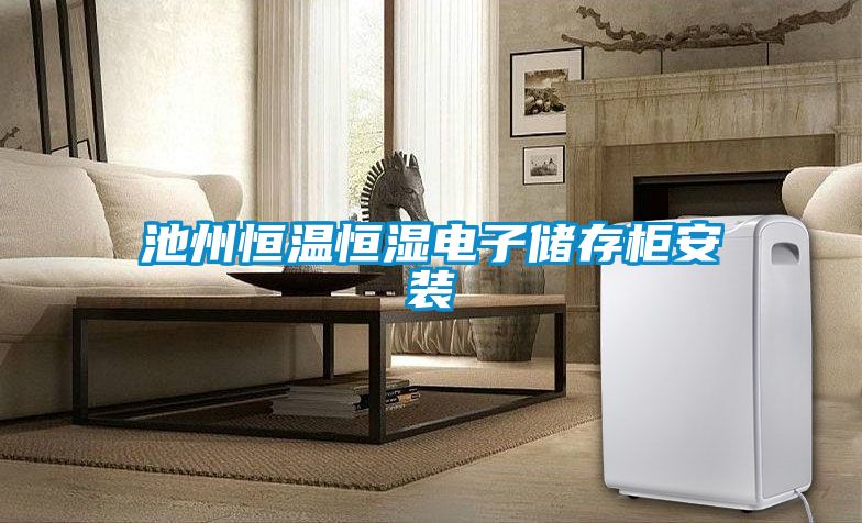 池州恒溫恒濕電子儲存柜安裝