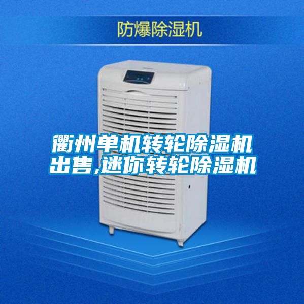 衢州單機轉輪除濕機出售,迷你轉輪除濕機