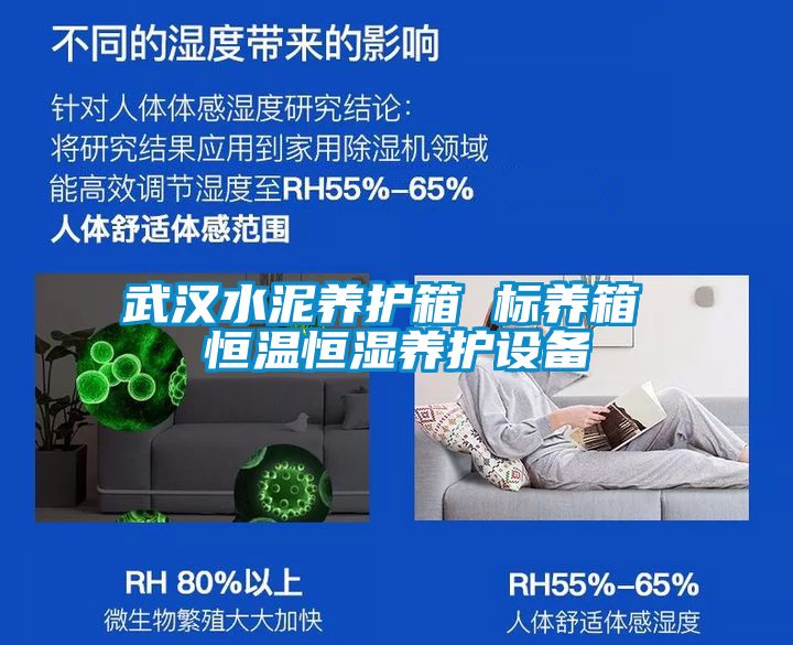 武漢水泥養護箱 標養箱 恒溫恒濕養護設備