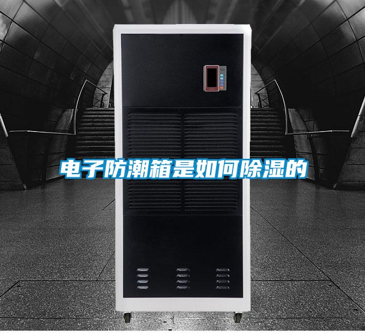 電子防潮箱是如何除濕的