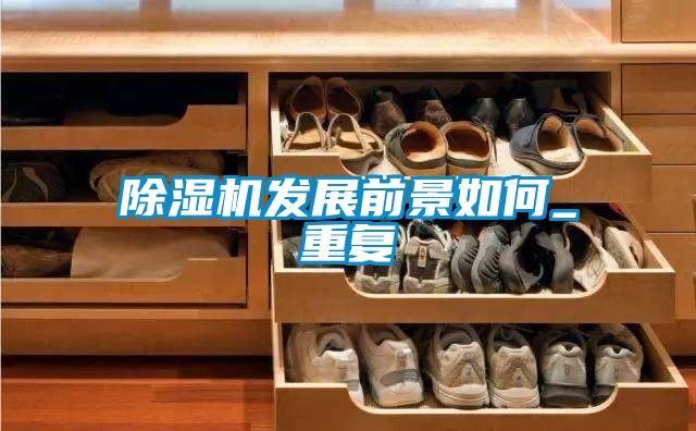 除濕機發展前景如何_重復