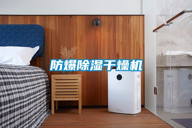 防爆除濕干燥機