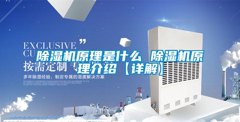 除濕機原理是什么 除濕機原理介紹【詳解】