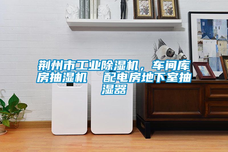 荊州市工業除濕機，車間庫房抽濕機  配電房地下室抽濕器