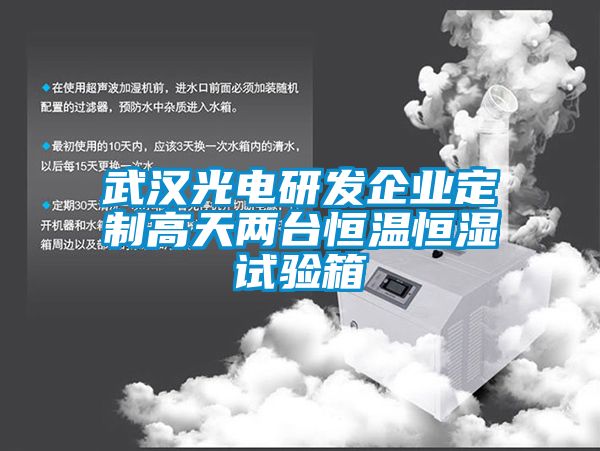 武漢光電研發企業定制高天兩臺恒溫恒濕試驗箱