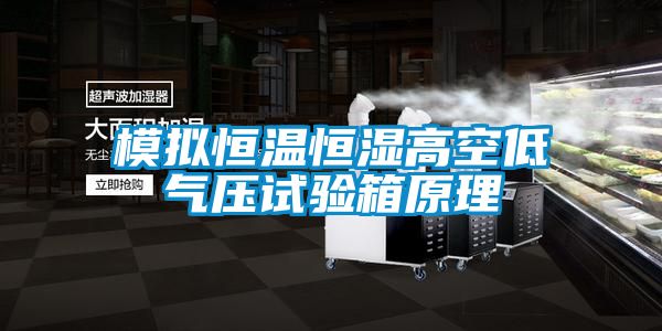 模擬恒溫恒濕高空低氣壓試驗箱原理
