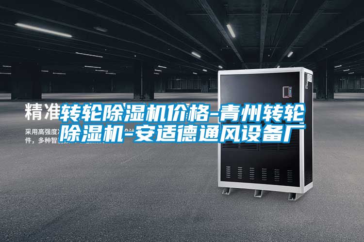 轉輪除濕機價格-青州轉輪除濕機-安適德通風設備廠